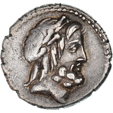 Coin, Volteia, Denarius, Rome, AU(55-58), Silver, Babelon:1