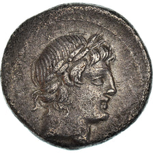 Coin, Marcia, Denarius, 82 BC, Roma, EF(40-45), Silver, Babelon:24