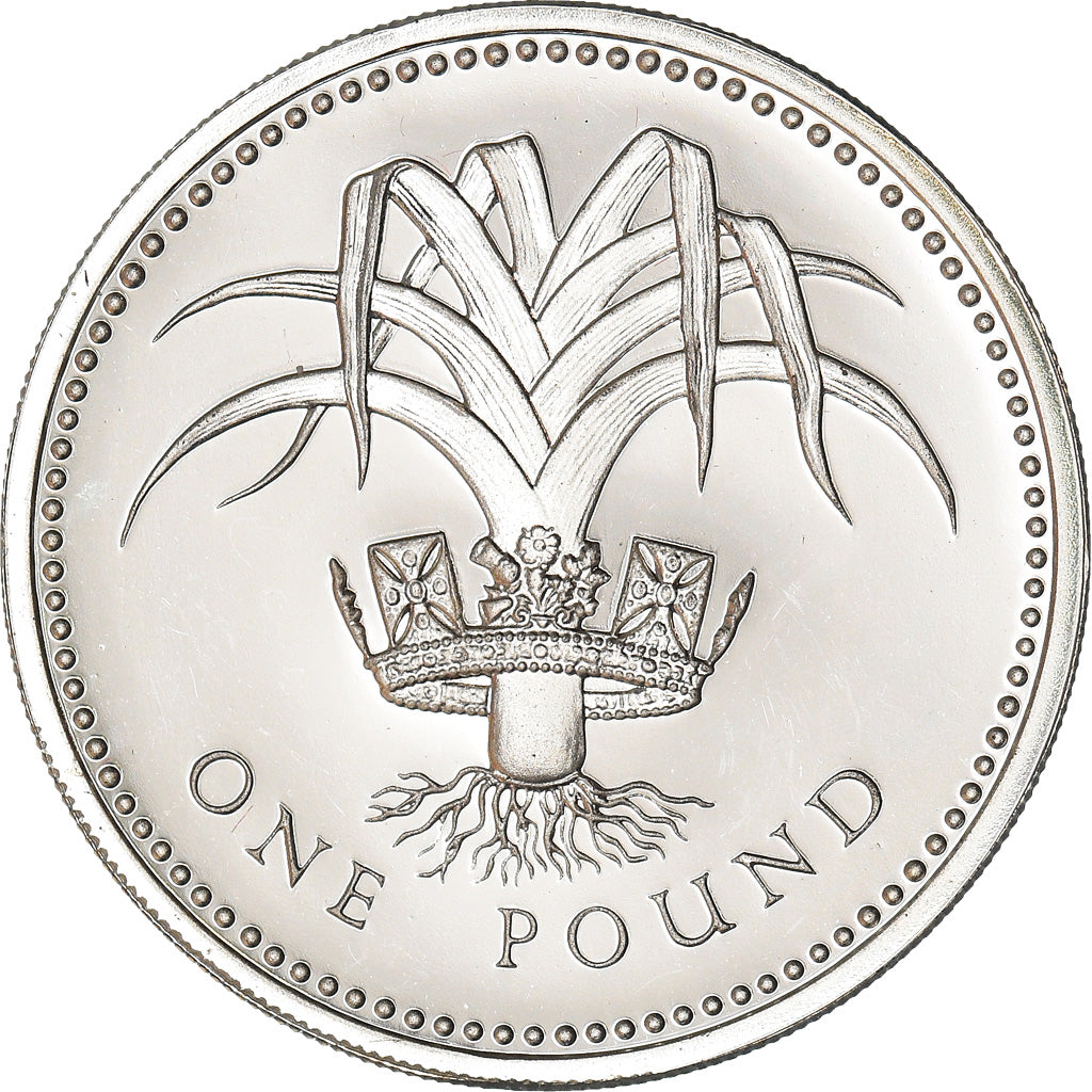 Coin, Great Britain, Elizabeth II, Pound, 1985, MS(65-70), Nickel-brass, KM:941