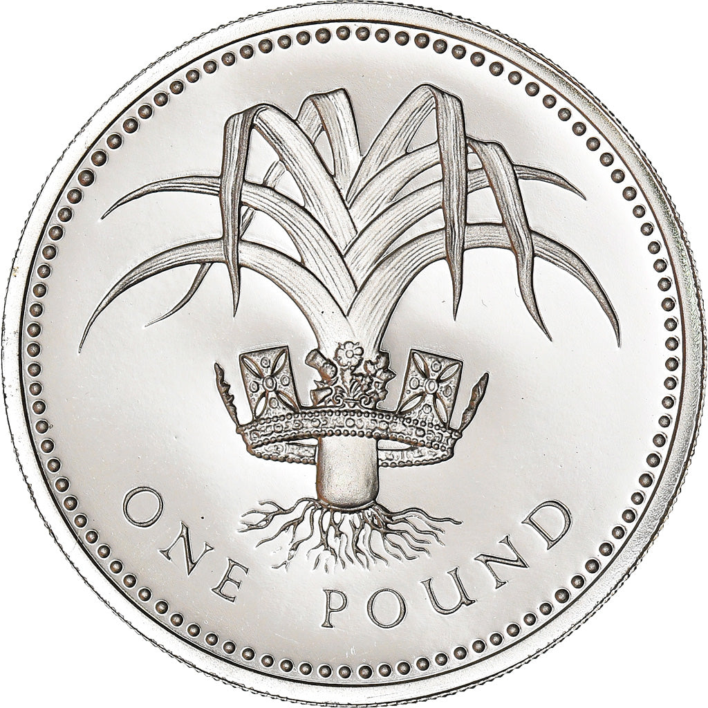 Moneta, Gran Bretagna, Elizabeth II, Pound, 1985, FDC, Nichel-ottone, KM:941