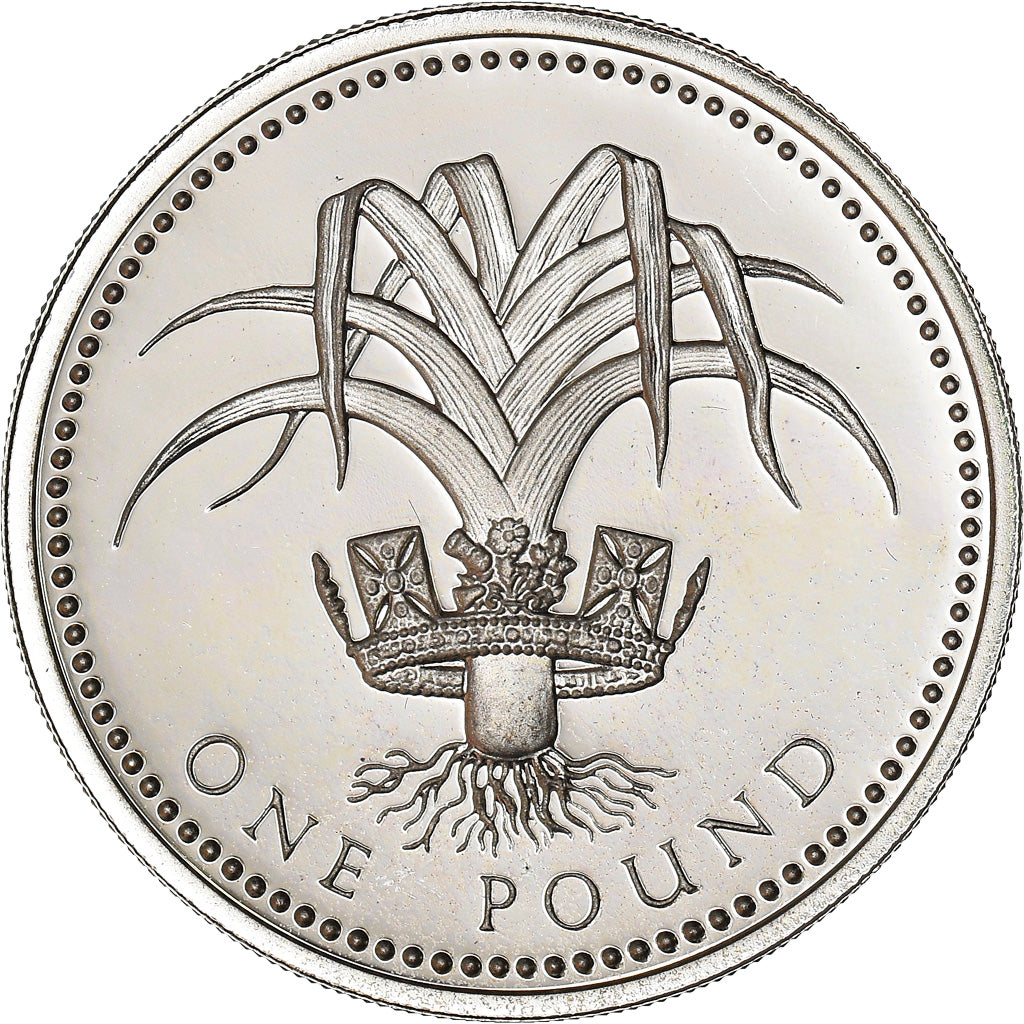 Coin, Great Britain, Elizabeth II, Pound, 1990, MS(65-70), Silver, KM:941a