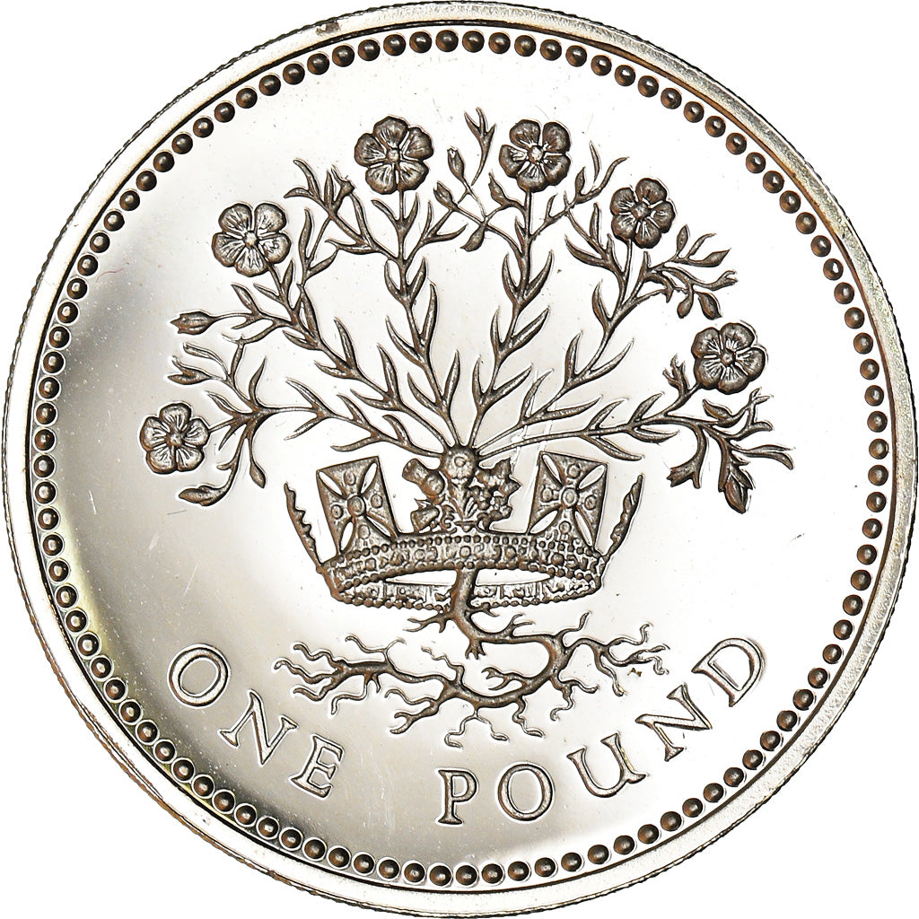 Monnaie, Grande-Bretagne, Elizabeth II, Pound, 1986, FDC, Argent, KM:946a