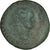 Coin, Titus, As, Lyon - Lugdunum, EF(40-45), Bronze, RIC:manque