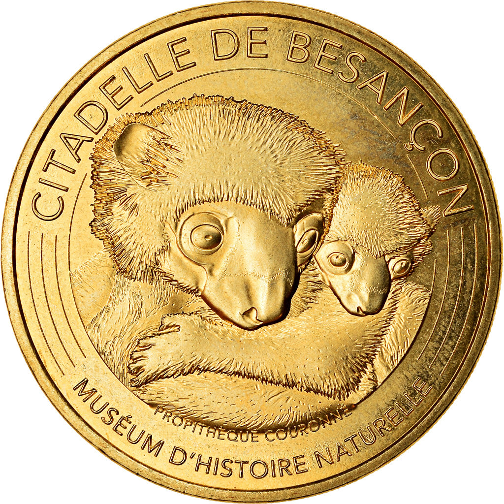 France, Token, Besançon - Muséum d'histoire naturelle, 2019, MDP, MS(63)