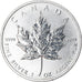 Coin, Canada, Elizabeth II, 5 Dollars, 2011, Royal Canadian Mint, MS(60-62)