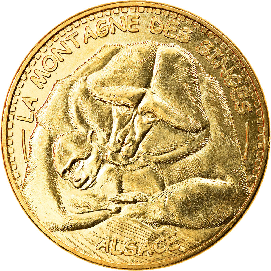 France, Token, Touristic token, Kintzheim -  Montagne des Singes n°9, 2013