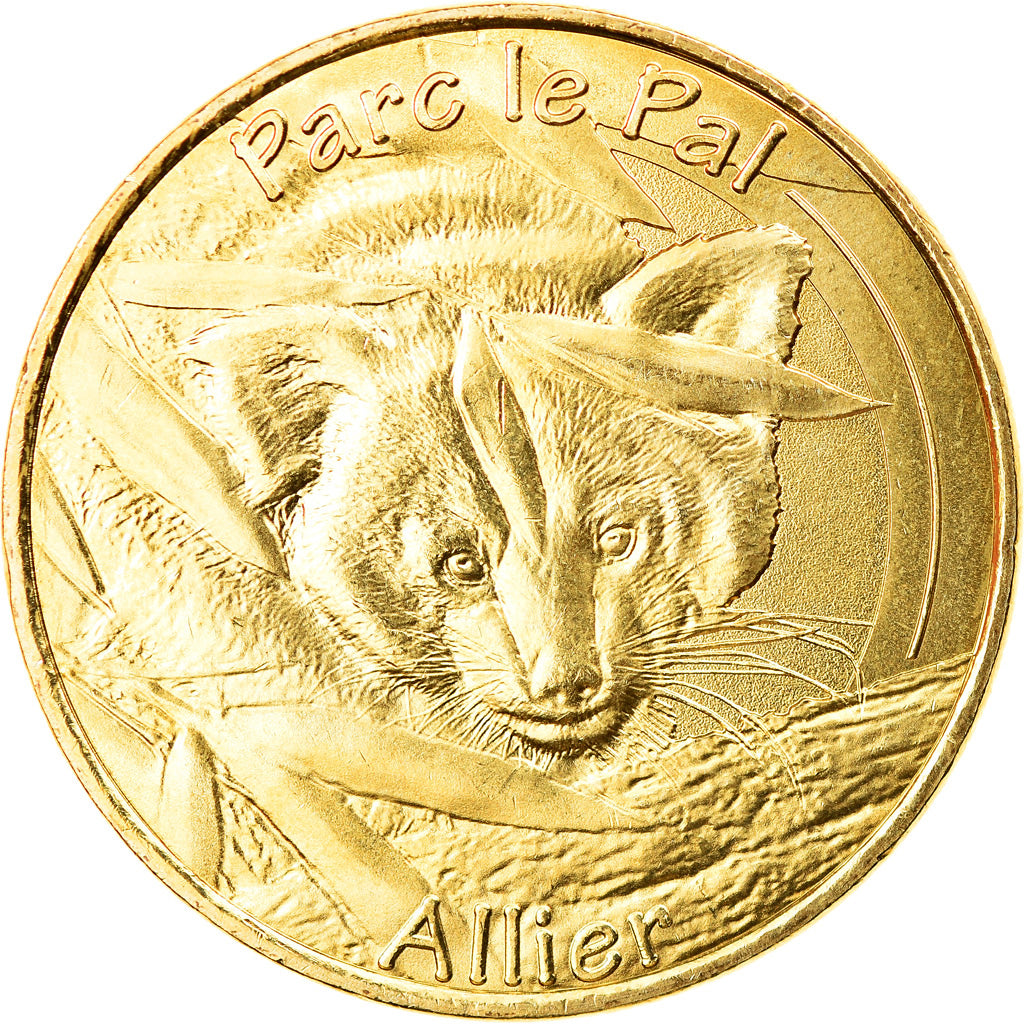 France, Jeton, Jeton Touristique, Dompierre-sur-besbre - Parc Le Pal - Le panda