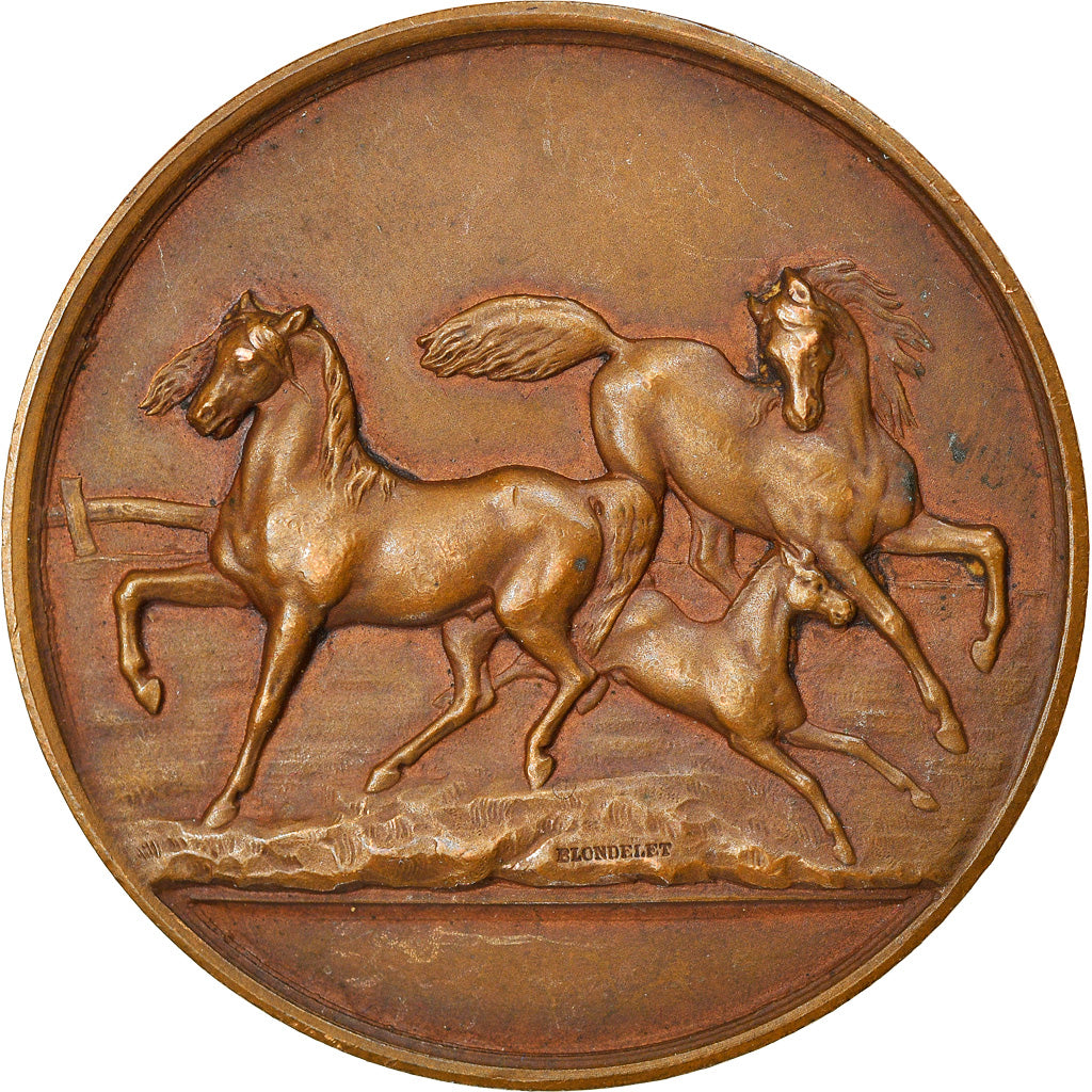 Frankreich, Medaille, Agriculture, Concours du Blanc, Indre, 1910, Blondelet