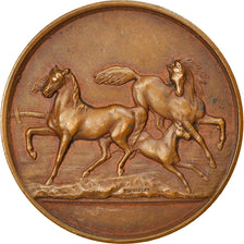 Frankreich, Medaille, Agriculture, Concours du Blanc, Indre, 1910, Blondelet
