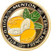 France, Jeton, Côte d'Azur - Menton, Souvenirs et Patrimoine, SUP, Cupro-nickel
