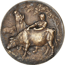 France, Medal, Société d'Agriculture de la Haute-Loire, 1902, Erdmann