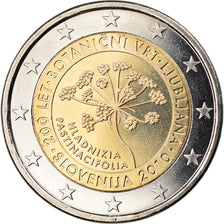 Slovenia, 2 Euro, Ljubljana, 2010, MS(63), Bi-Metallic, KM:94