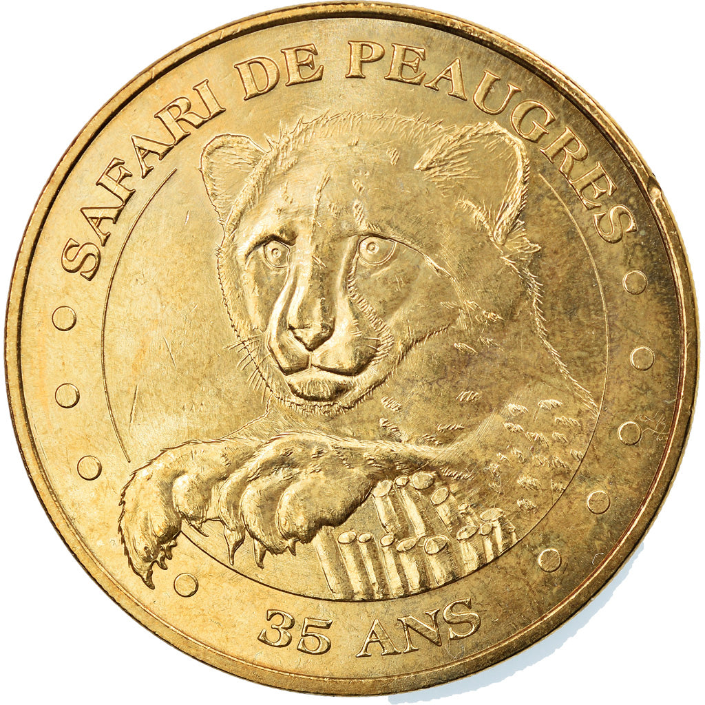 France, Jeton, Jeton Touristique, Peaugres - Safari n°4 -  Bébé guépard