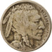 Coin, United States, Buffalo Nickel, 5 Cents, 1916, U.S. Mint, Philadelphia