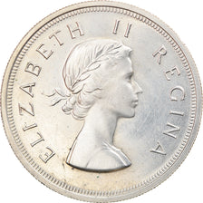 Coin, South Africa, Elizabeth II, 5 Shillings, 1953, MS(63), Silver, KM:52