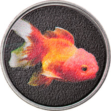 Coin, Macau, 2 Patacas, 2020, Taipa  - Poisson Oranda type 3, MS(63), Steel