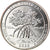 Moneda, Estados Unidos, Quarter, 2020, Denver, Salt river bay - Virgin Islands