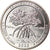 Moneda, Estados Unidos, Quarter, 2020, San Francisco, Salt river bay - Virgin