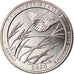 Moneda, Estados Unidos, Quarter, 2020, San Francisco, Tall grass prairie -