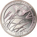 Moneda, Estados Unidos, Quarter, 2020, San Francisco, Tall grass prairie -