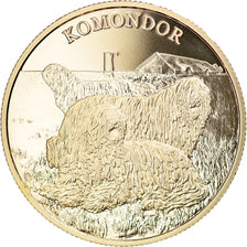 Moneta, Ungheria, 2000 Forint, 2020, Budapest, Komondor - Lévrier hongrois