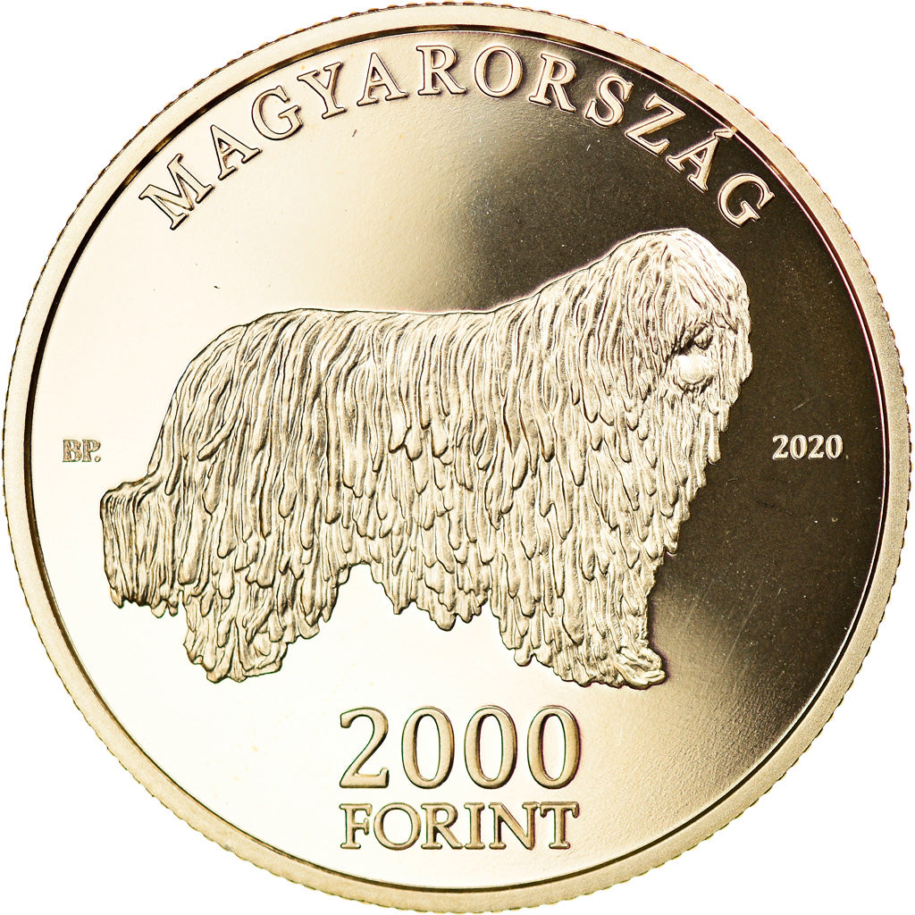 Moneta, Ungheria, 2000 Forint, 2020, Budapest, Komondor - Lévrier hongrois
