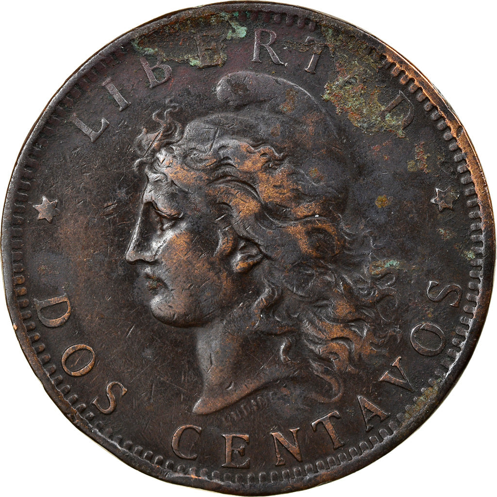 Moneta, Argentina, 2 Centavos, 1888, MB+, Bronzo, KM:33