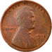 Monnaie, États-Unis, Lincoln Cent, Cent, 1913, U.S. Mint, Philadelphie, TB+