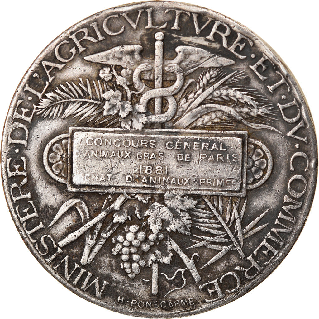 France, Medal, Agriculture, Concours Général de Paris, Animaux Gras, 1881