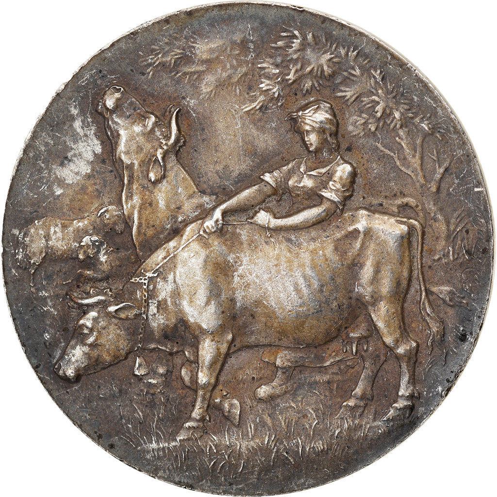 Francja, Medal, Société des Agriculteurs de la Somme, Erdmann, AU(50-53)