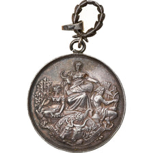 France, Médaille, Association Agricole de Saint-Amand, Cher, TTB+, Argent