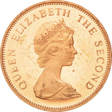 FALKLAND ISLANDS, 2 Pence, 1982, KM #3, MS(60-62), Bronze, 25.91, 7.19