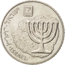 ISRAEL, 100 Sheqalim, 1984, KM #143, AU(55-58), Copper-Nickel, 29, 10.88