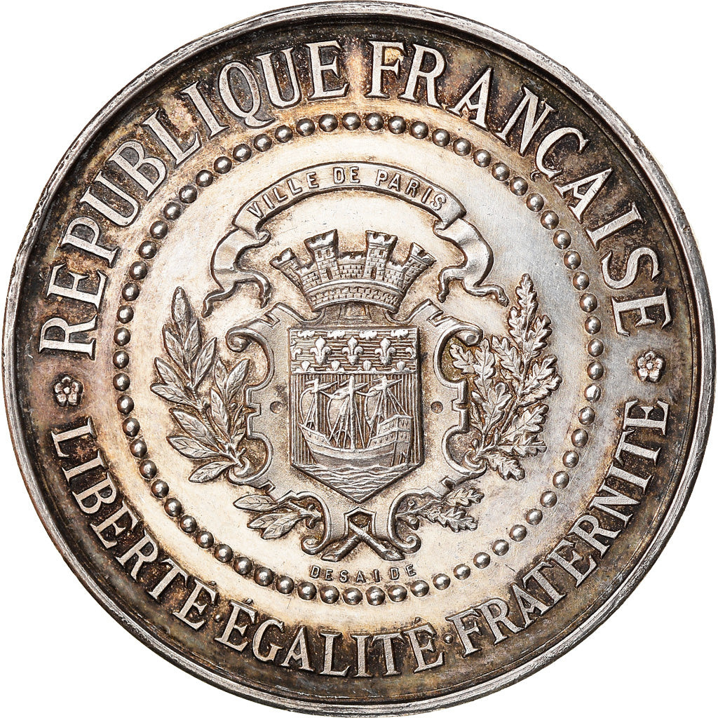 France, Medal, Assistance Publique, Bureau de Bienfaisance, Paris, 1894