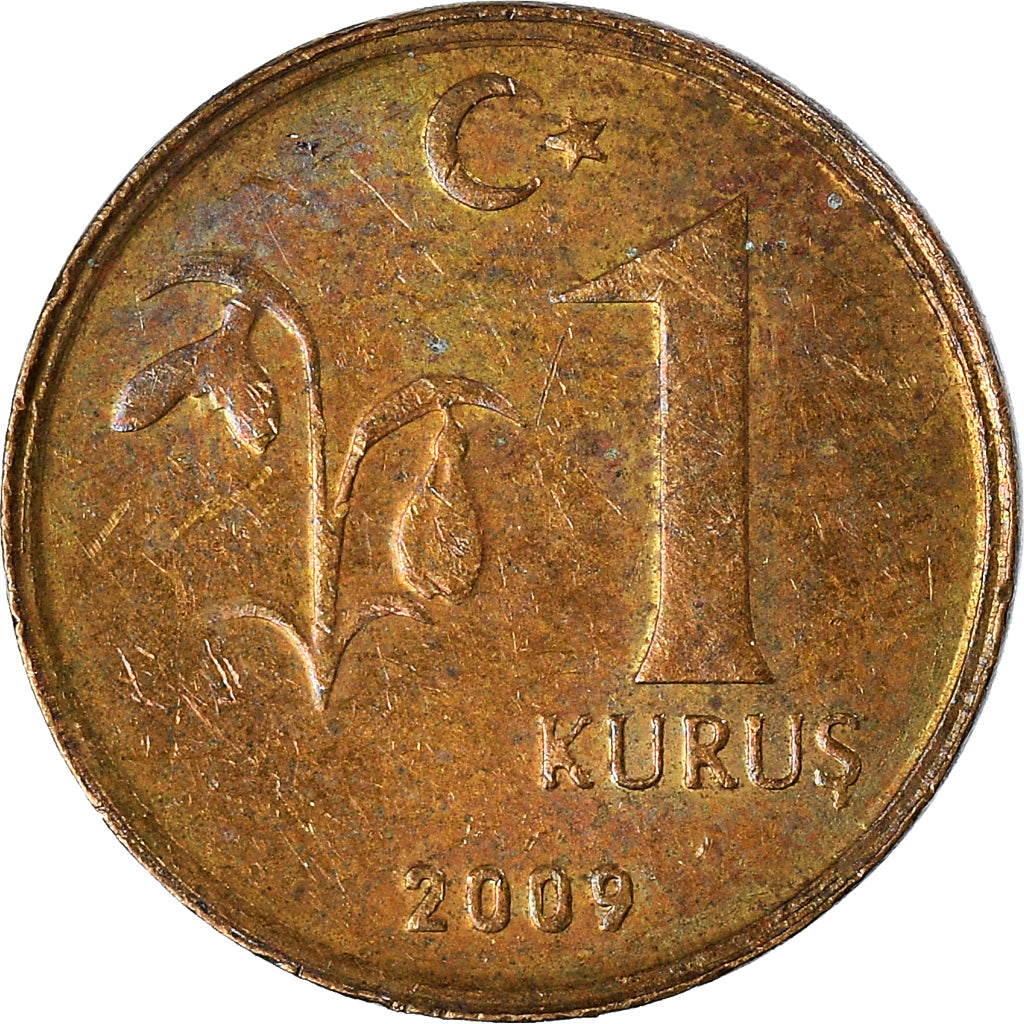 Moneta, Turchia, Kurus, 2009
