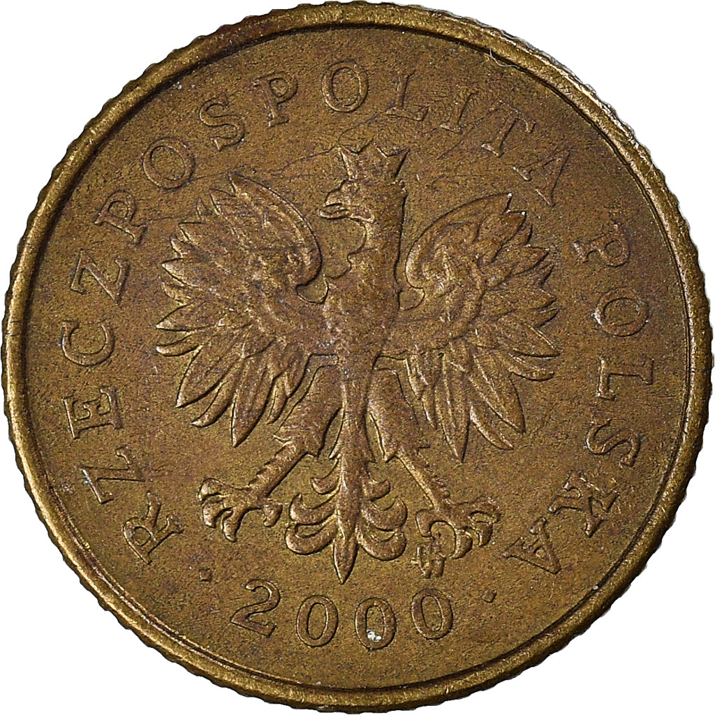 Moneta, Polonia, Grosz, 2000