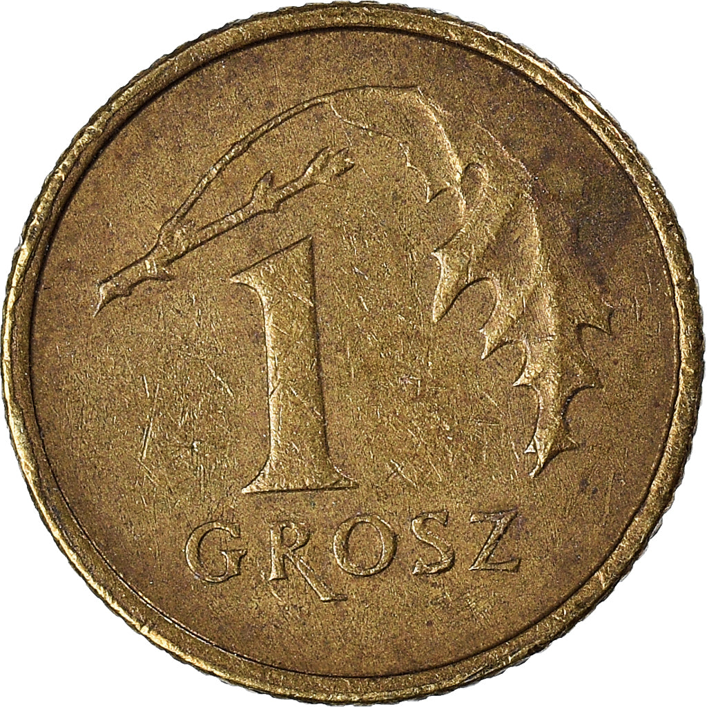 Monnaie, Pologne, Grosz, 2008