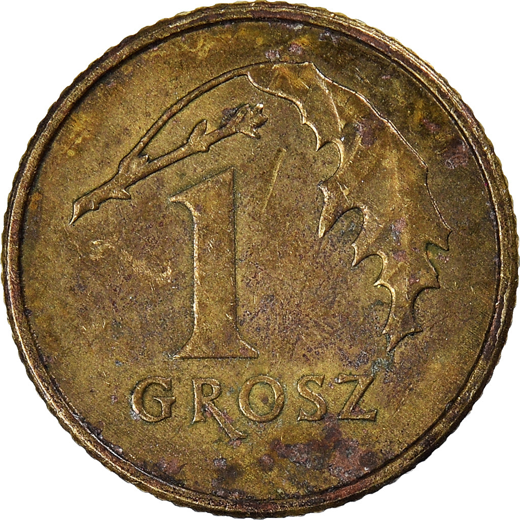 Münze, Polen, Grosz, 2013