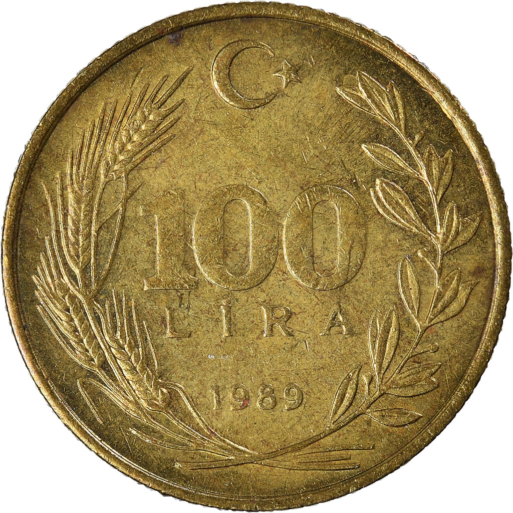 Moneta, Turchia, 100 Lira, 1989