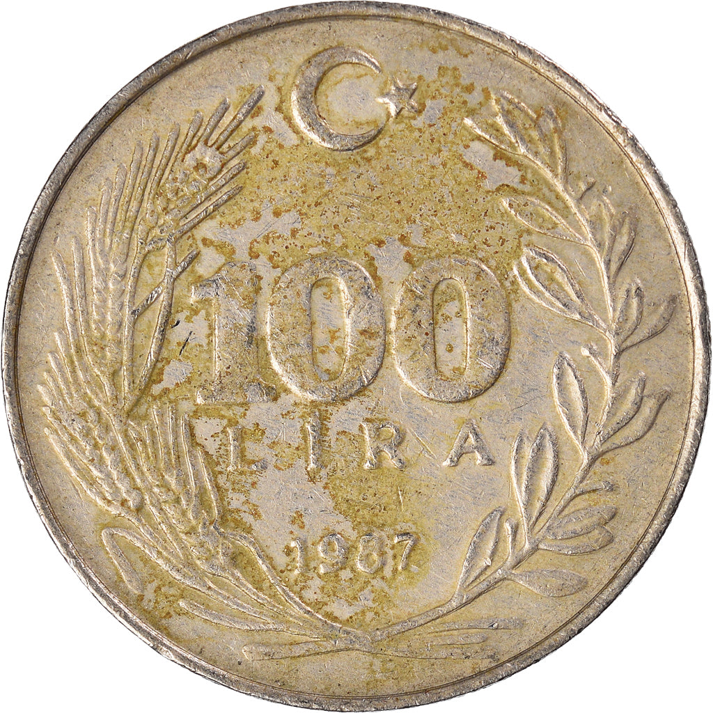 Moneta, Turchia, 100 Lira, 1987