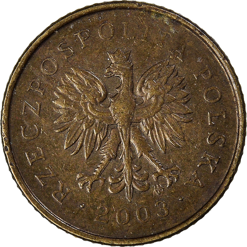 Moneta, Polonia, Grosz, 2003