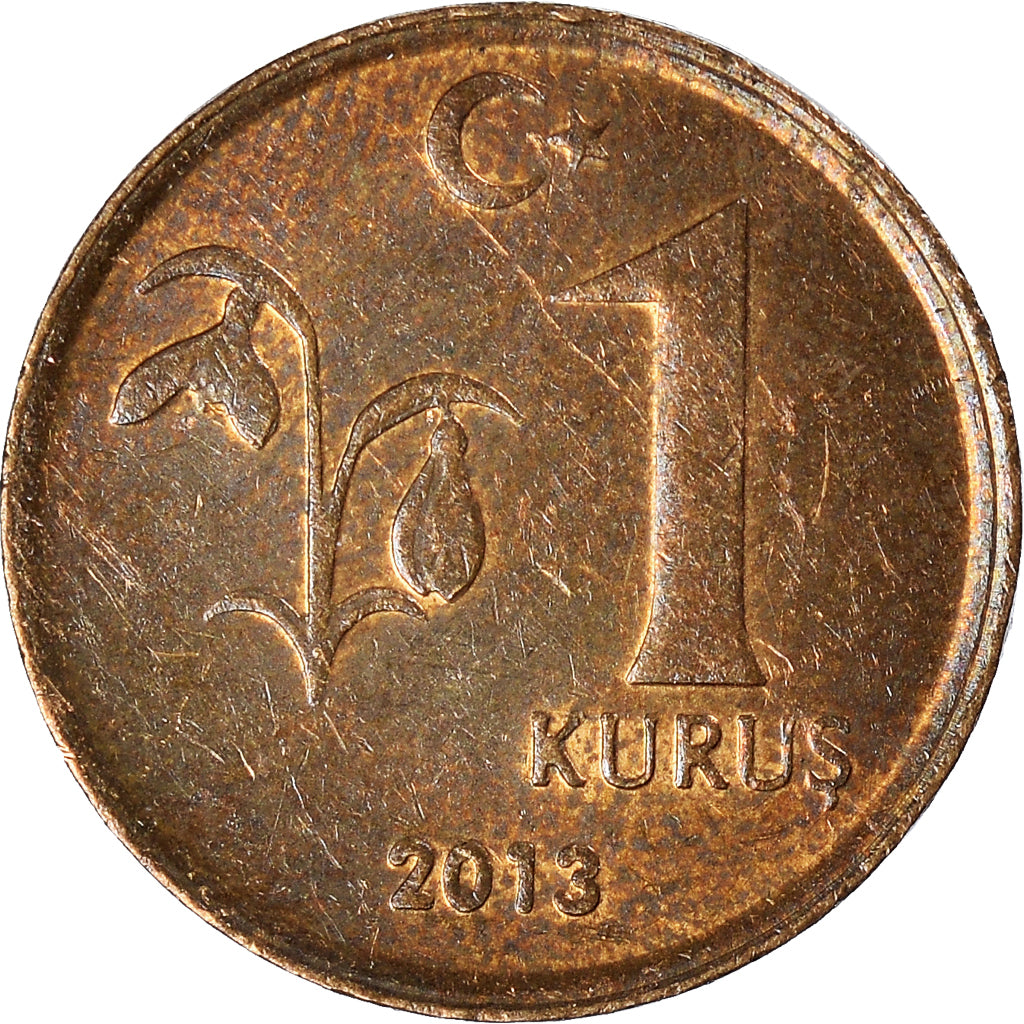 Moneta, Turchia, Kurus, 2013