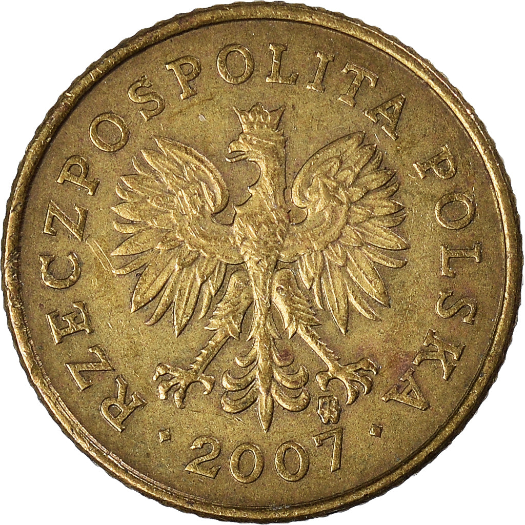 Moneta, Polonia, Grosz, 2007