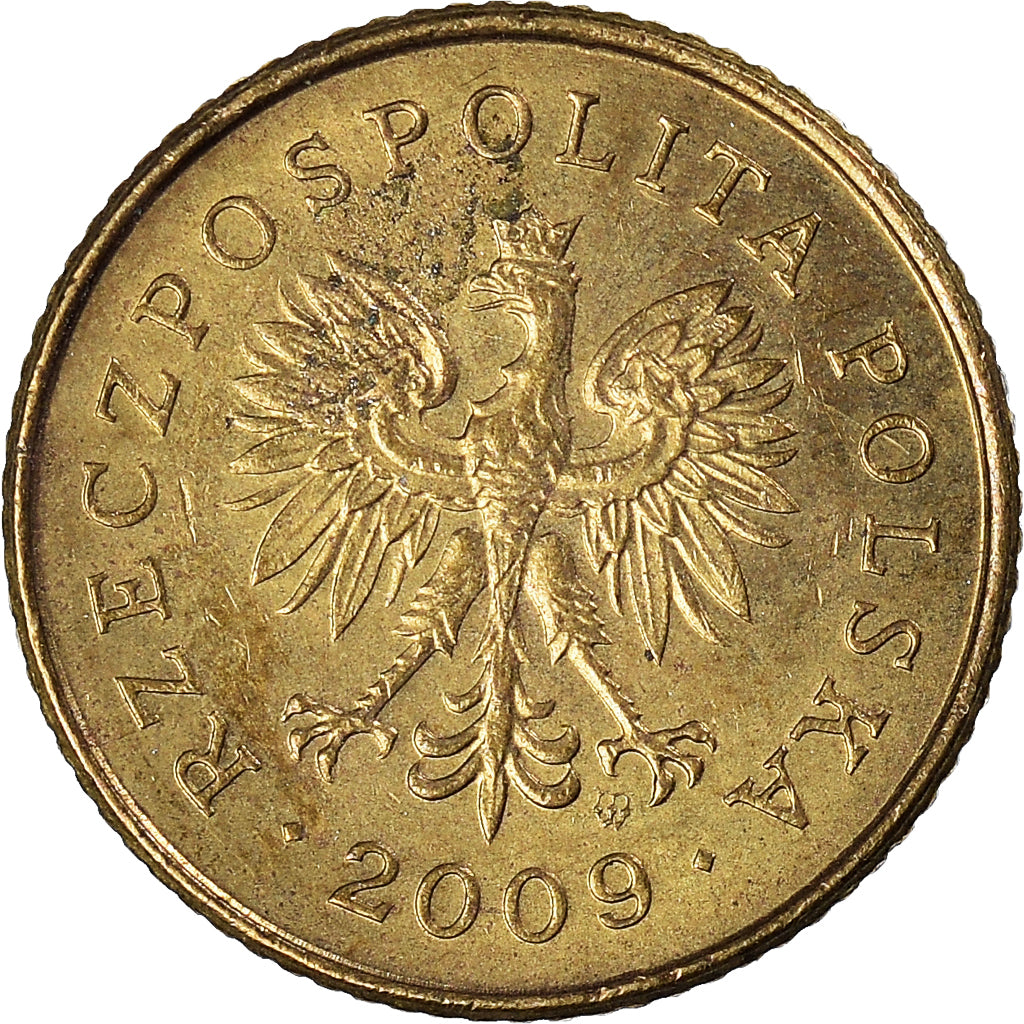 Moneta, Polonia, Grosz, 2009