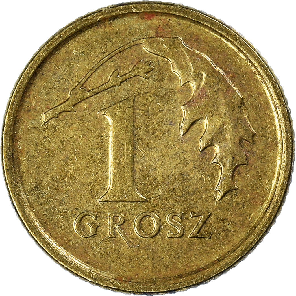 Monnaie, Pologne, Grosz, 2016