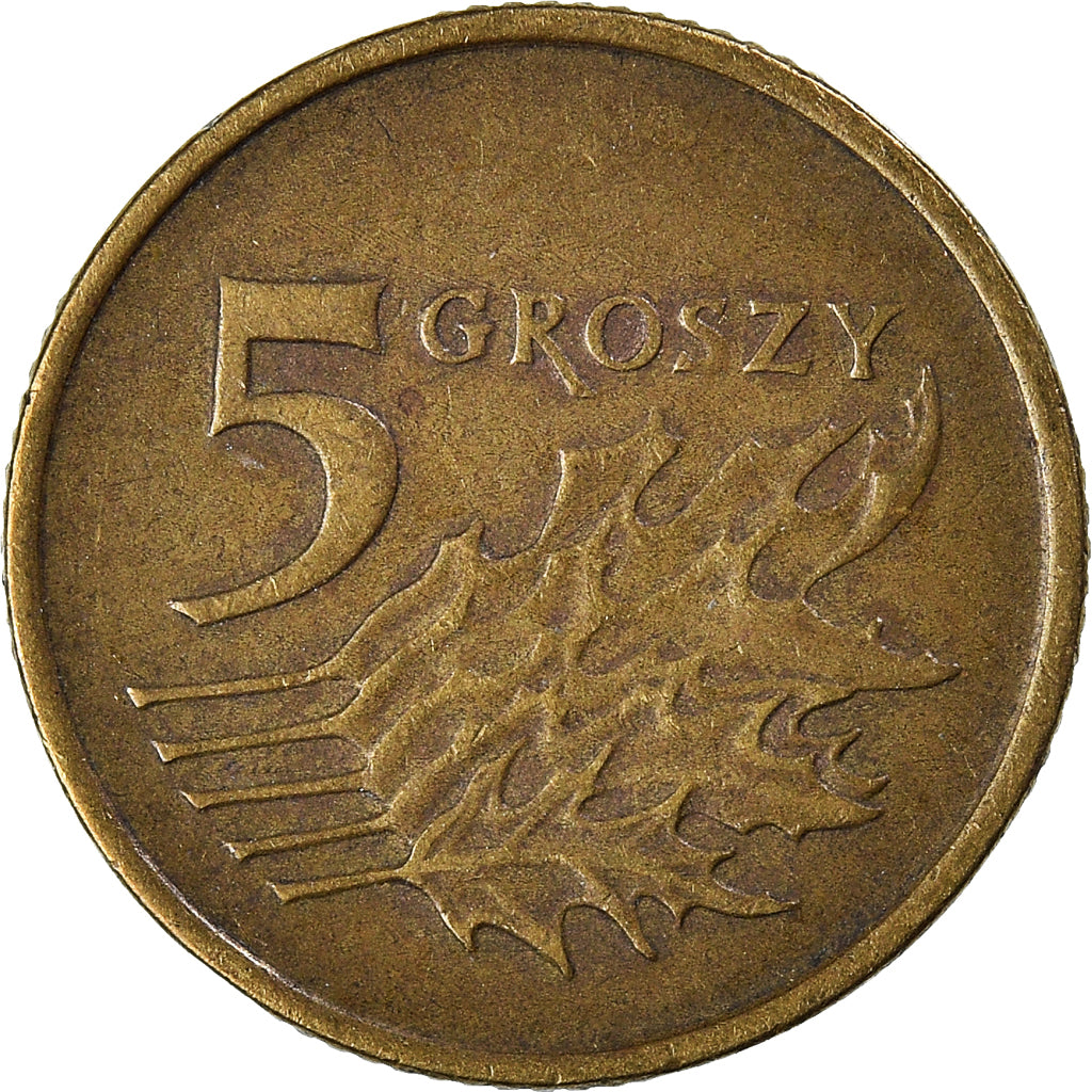 Monnaie, Pologne, 5 Groszy, 1993