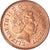 Moneda, Gran Bretaña, Penny, 2007