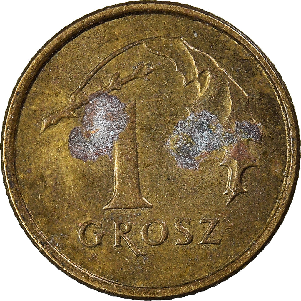 Moneta, Polska, Grosz, 2002