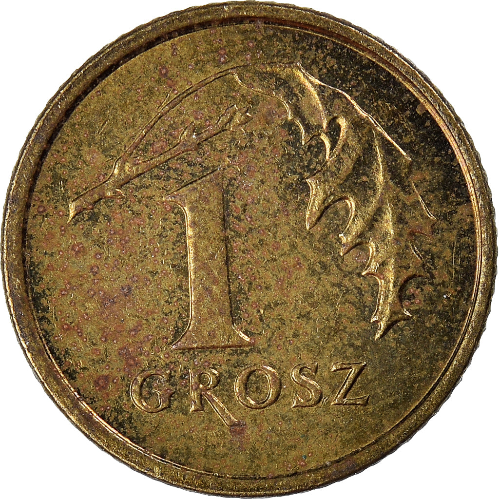 Münze, Polen, Grosz, 1998