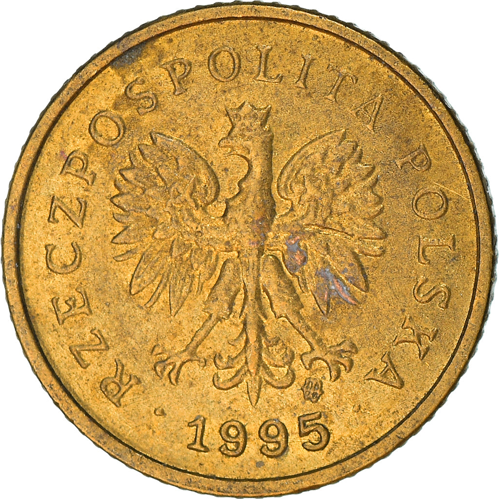 Moneta, Polonia, Grosz, 1995, Warsaw, BB, Ottone, KM:276